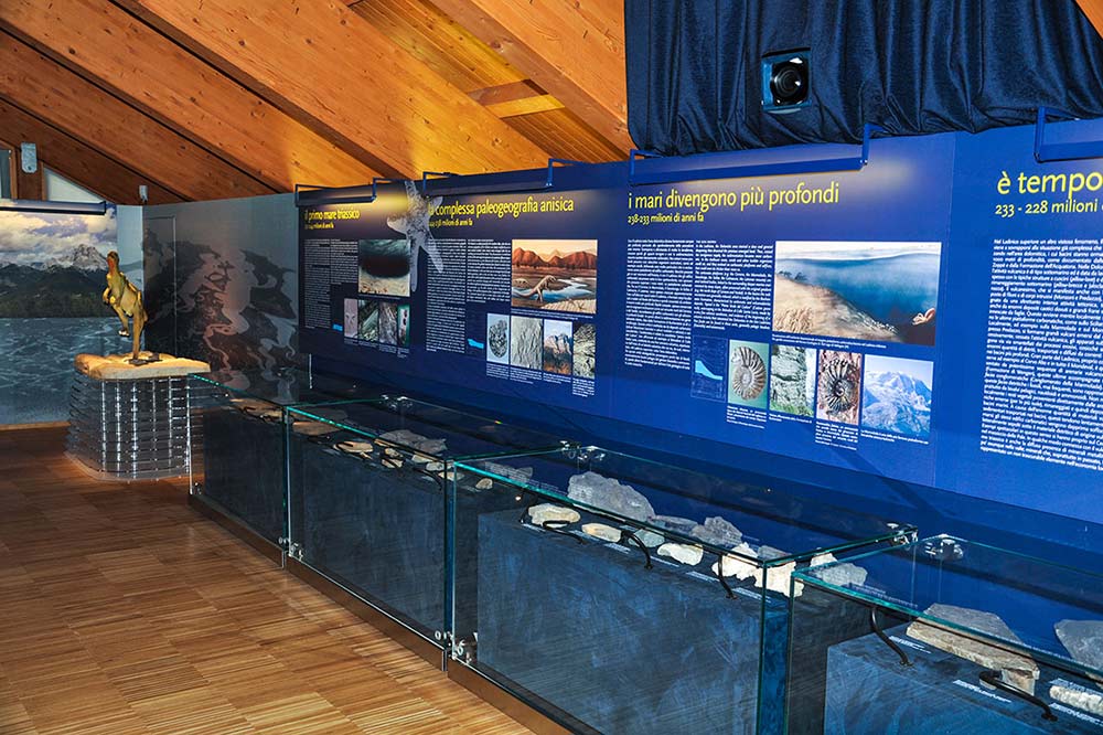 Museo Vittorino Cazzetta a Selva di Cadore - Sezione Geologica