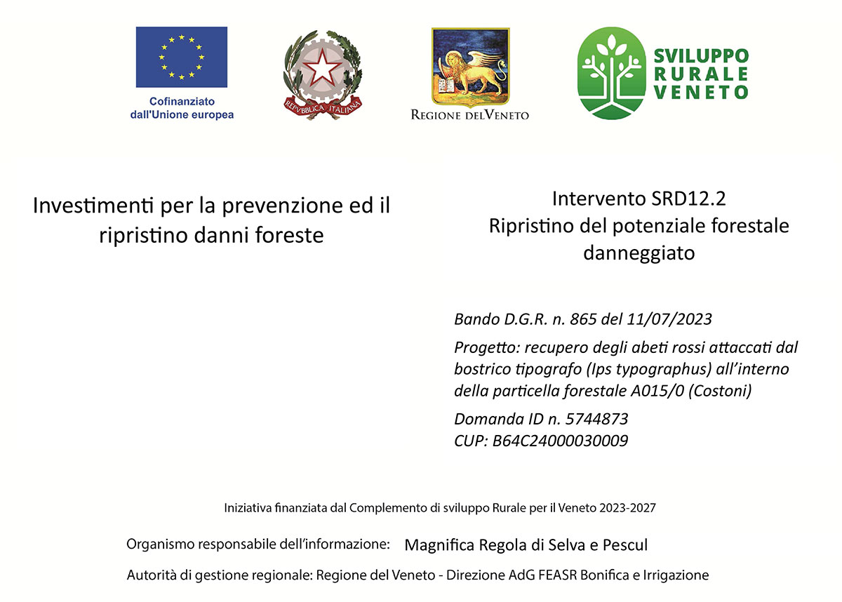 Intervento SRD12.2 Ripristino del potenziale forestale danneggiato