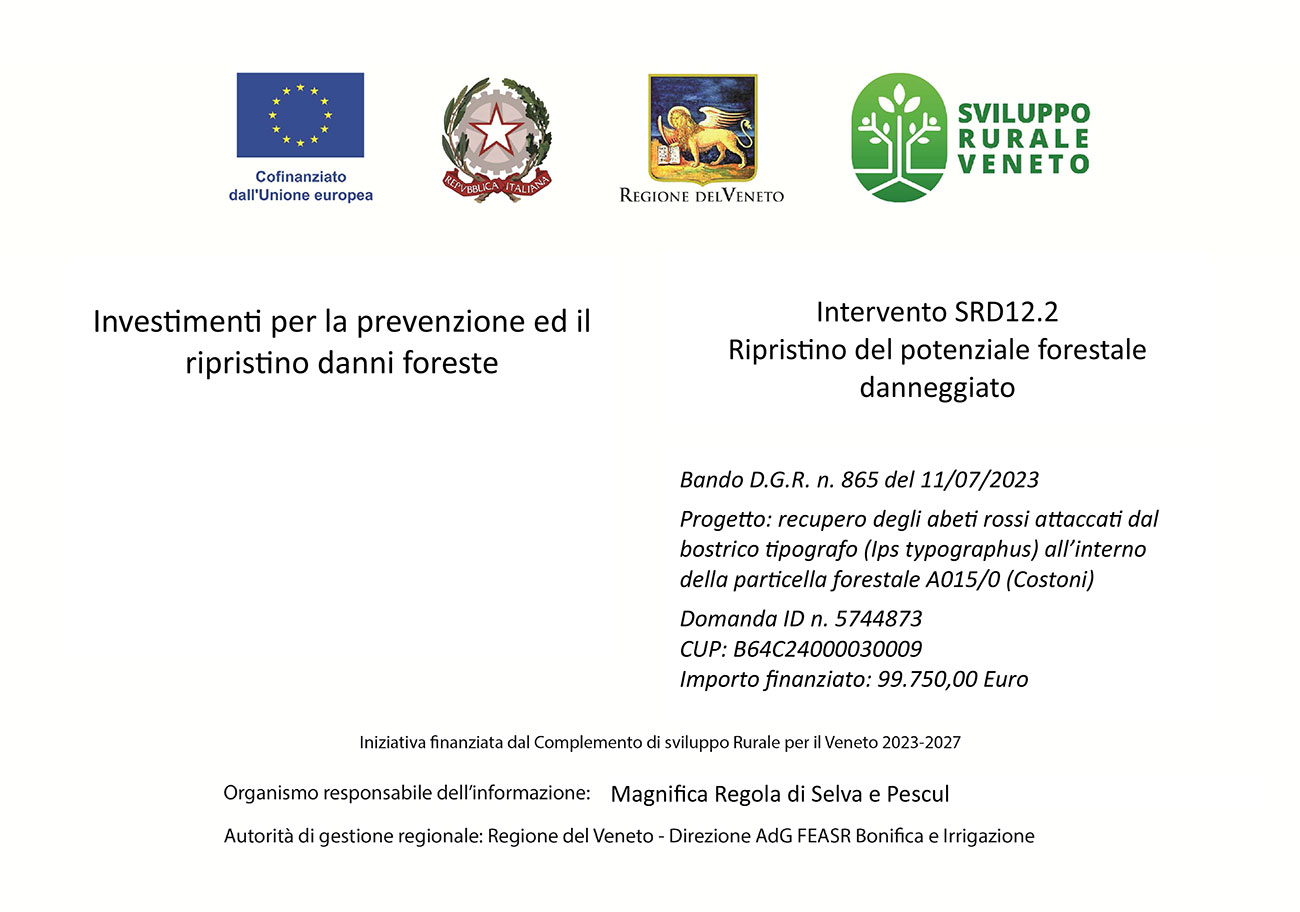 Intervento SRD12.2 Ripristino del potenziale forestale danneggiato