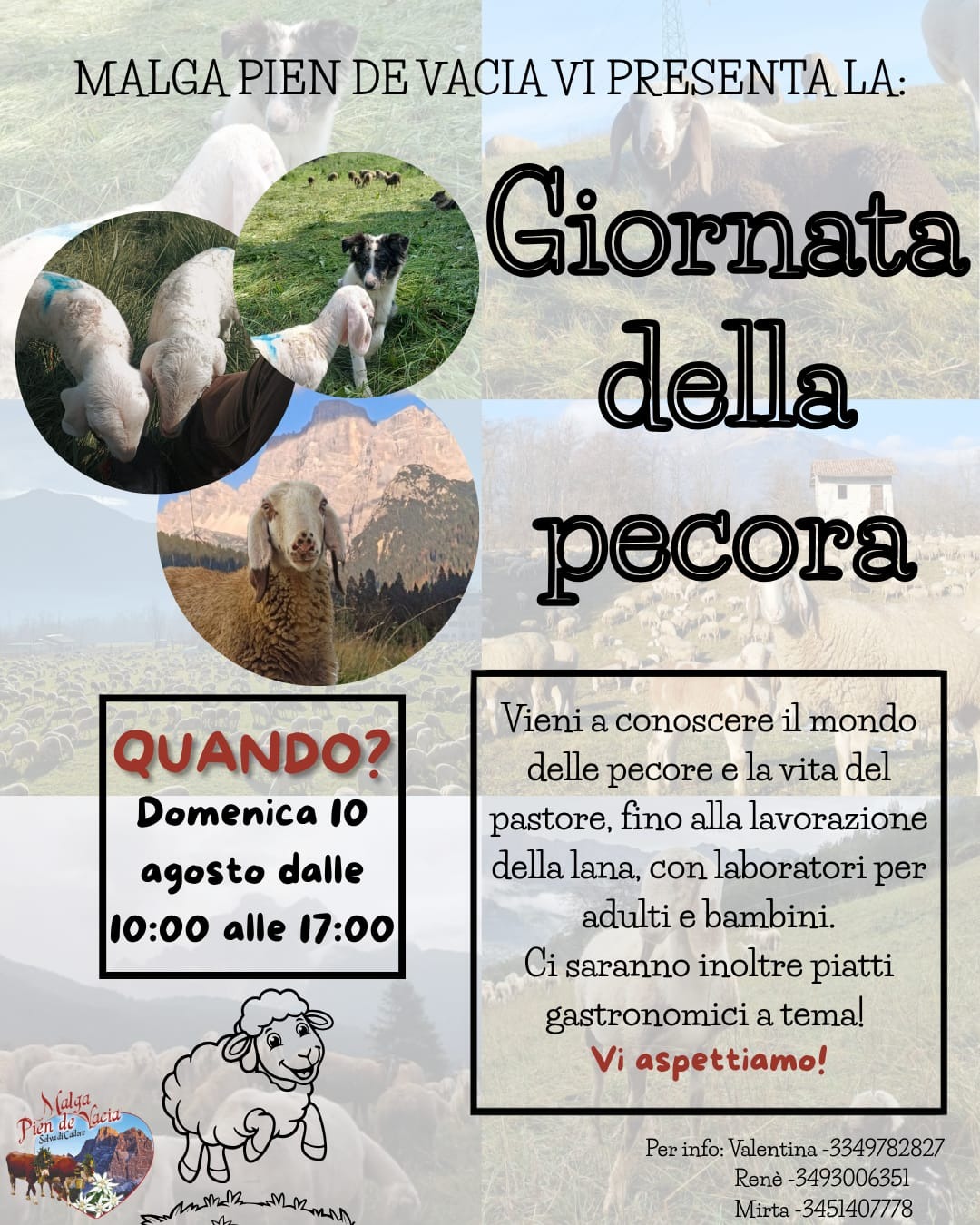 Giornata della Pecora in Malga