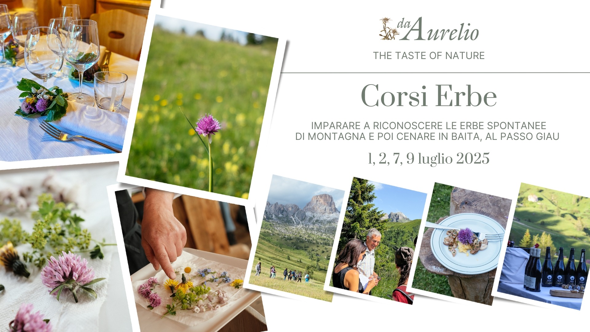 I corsi erbe (con cena in baita) del Ristorante Da Aurelio al Passo Giau