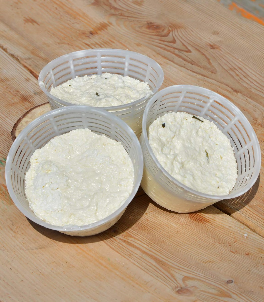 RICOTTA FRESCA