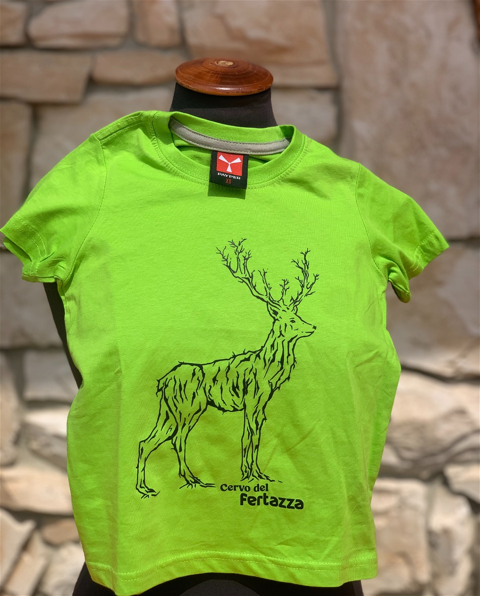 Fertazza Stag T-Shirt for Kids - GREEN